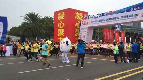 东莞停工新闻头条,多项目暂停施工，原因及影响分析